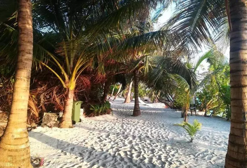 پانسیون Dhoani Inn
