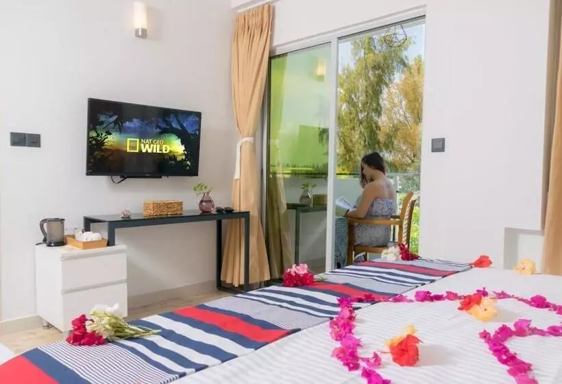 پانسیون The Orca