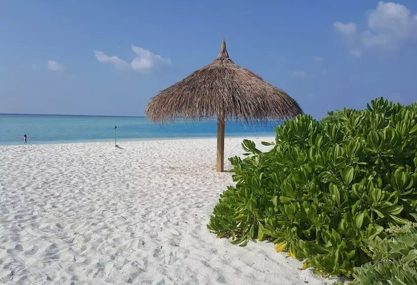 پانسیون Banana Residence