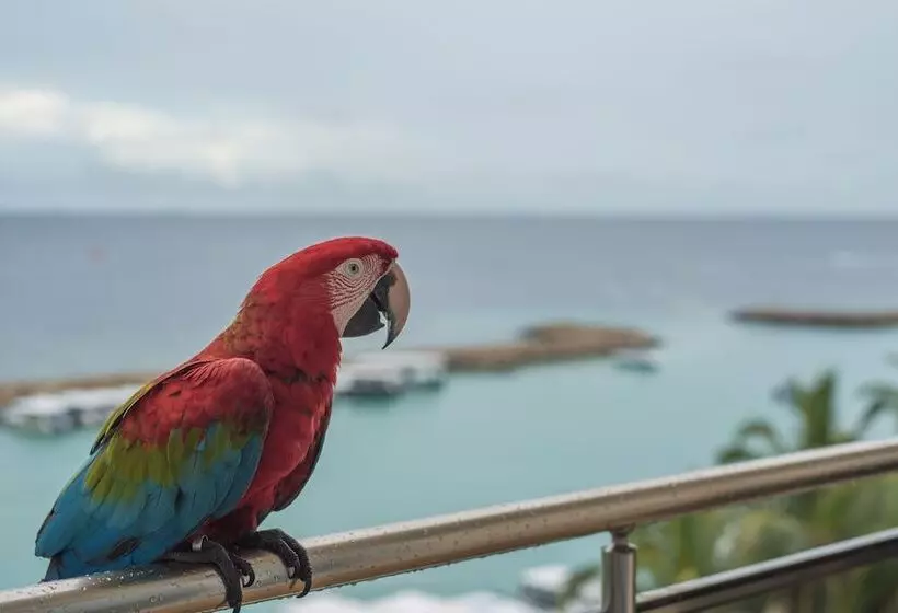 هتل Icom Marina Sea View