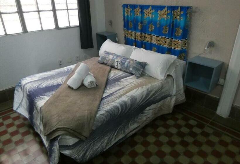 ペンション Eucalipto Hostel