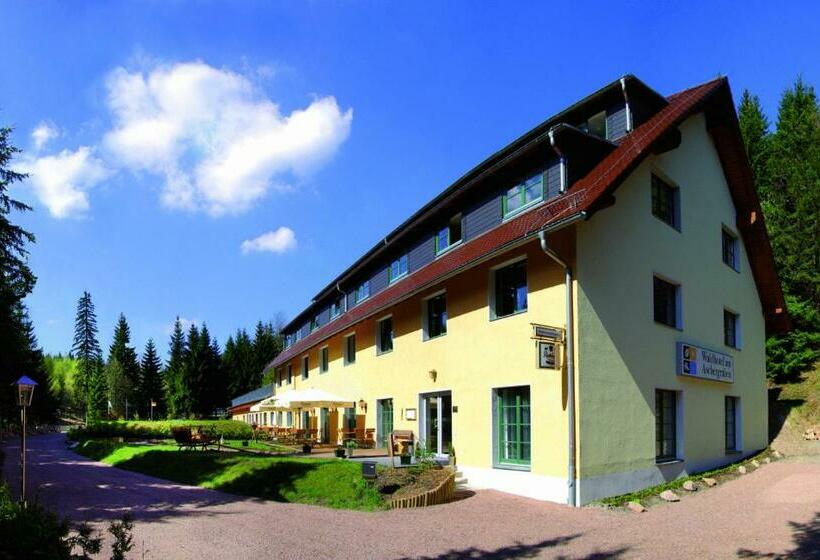 Waldhotel Am Aschergraben