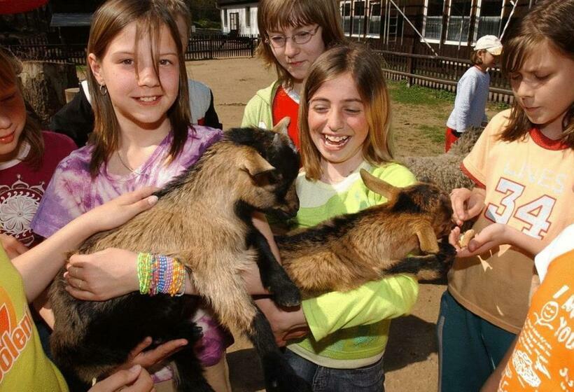 Waldhotel Am Aschergraben