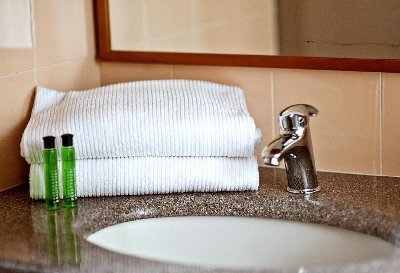 בית מלון כפרי Ambassador