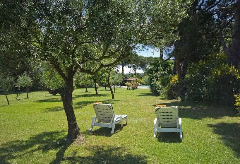 ホテル Panoramic Montepulciano