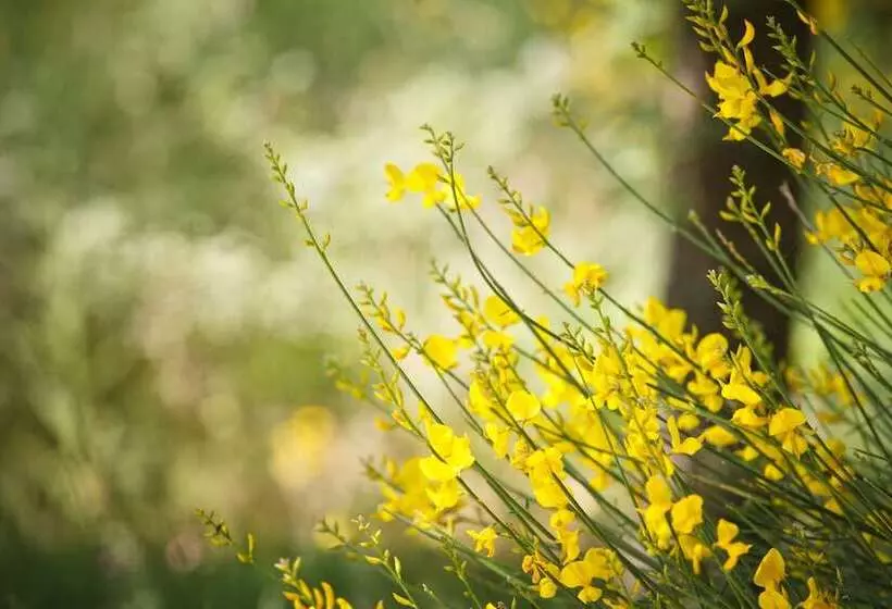 ホテル Panoramic Montepulciano