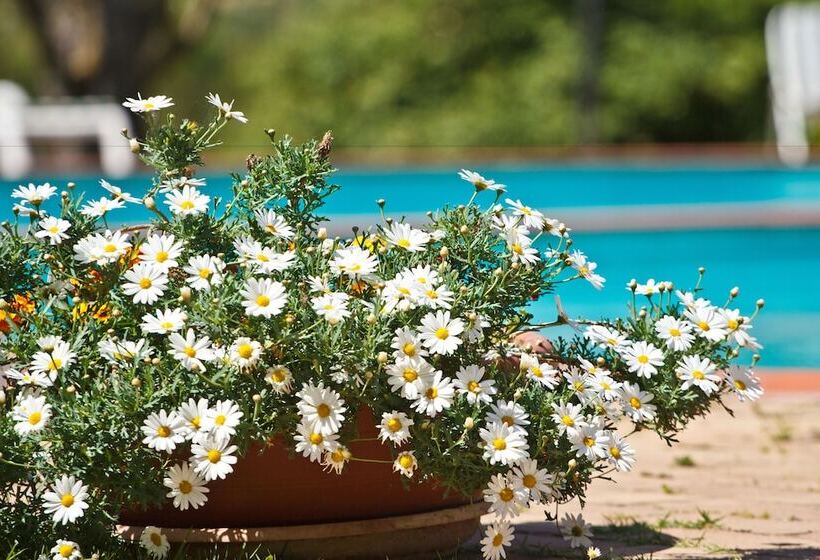 فندق Panoramic Montepulciano