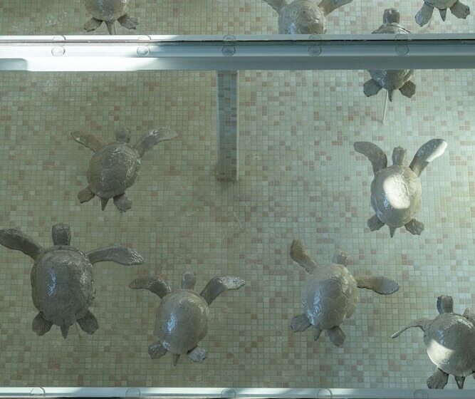 בית מלון כפרי Cocomat Athens Bc