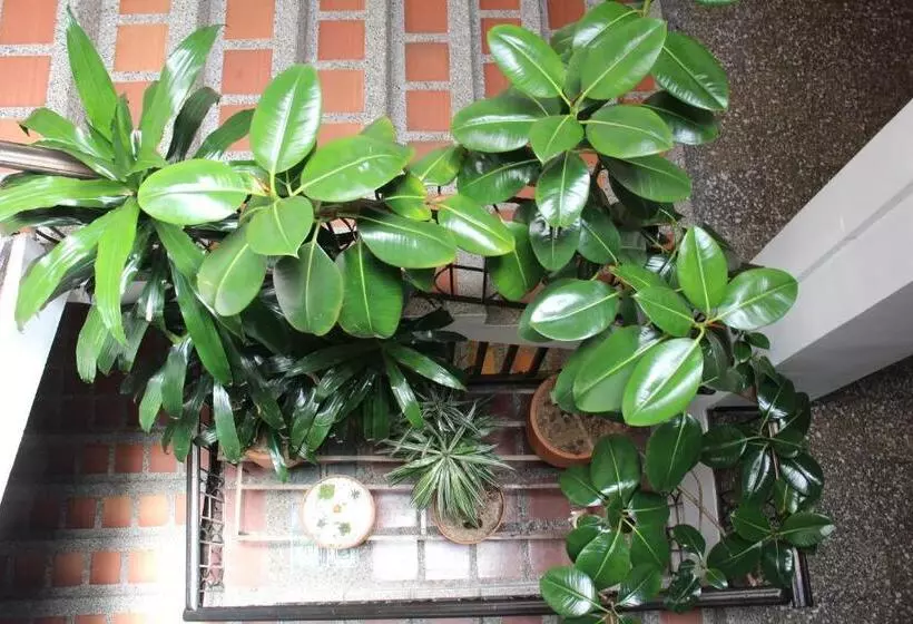 Hotelli Plaza El Santuario