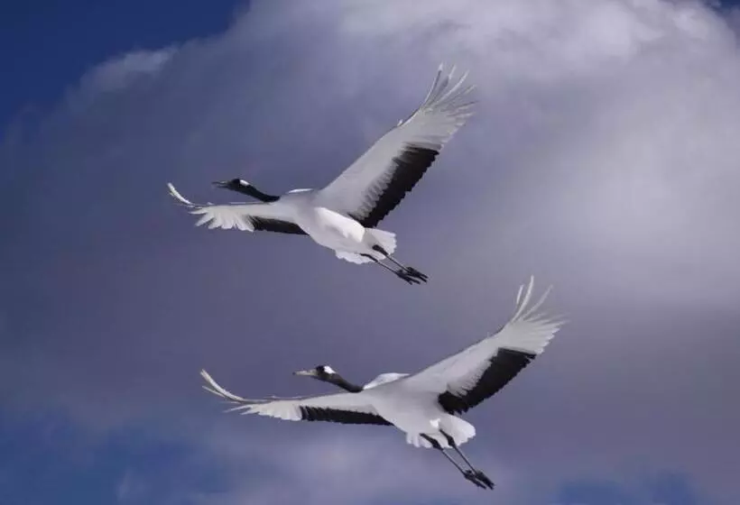 호텔 Kushiro Prince