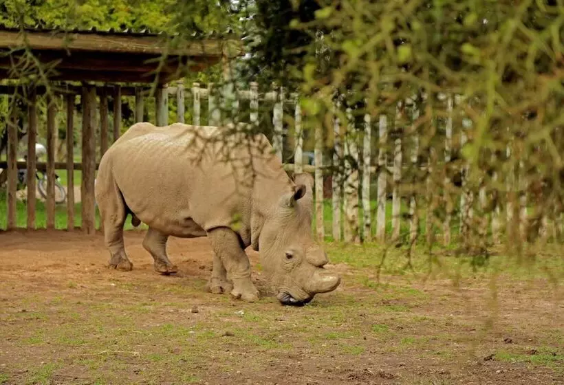 هتل Sweetwaters Serena Camp