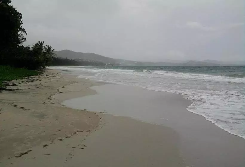 Studio A Le Diamant A 500 M De La Plage Avec Vue Sur La Mer Jardin Clos Et Wifi
