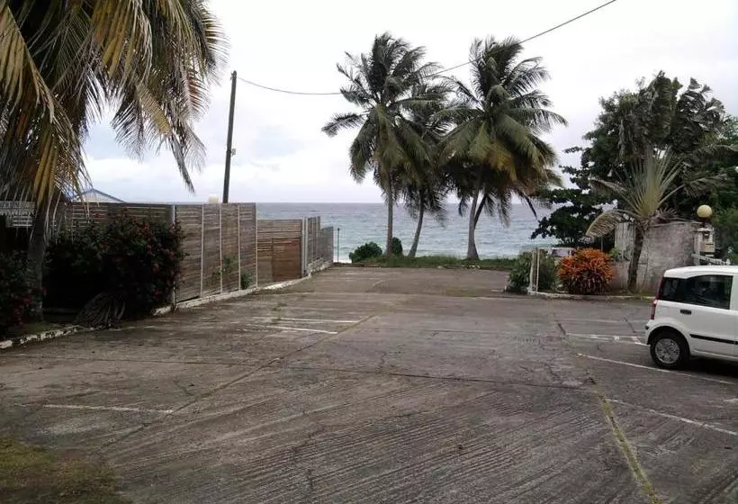 Studio A Le Diamant A 500 M De La Plage Avec Vue Sur La Mer Jardin Clos Et Wifi