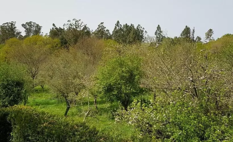 Pensión Lo