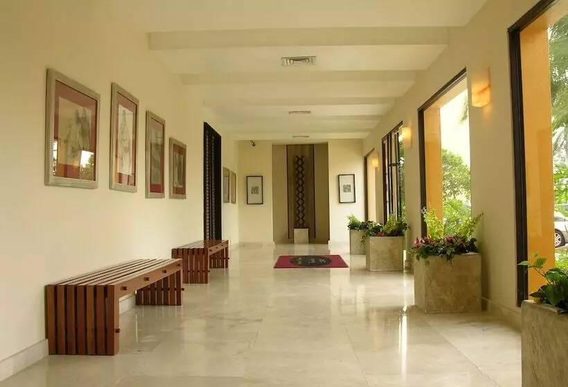 Отель Terranova