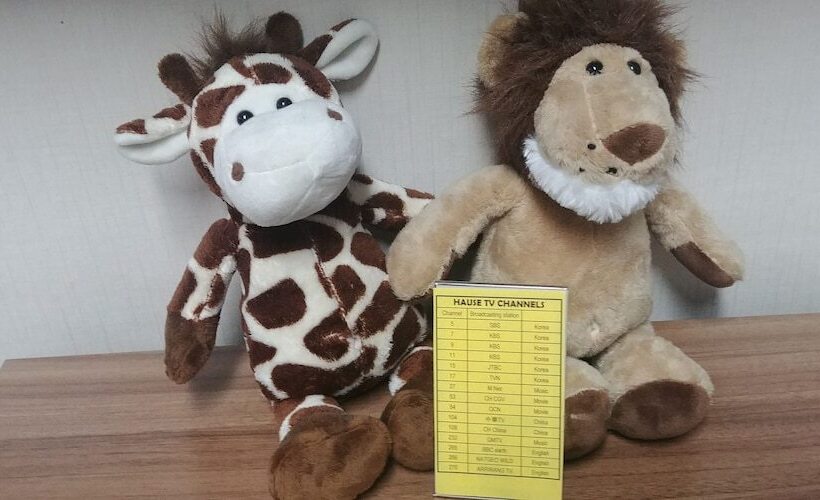 Cămin Hause Itaewon