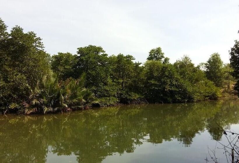 בית מלון כפרי Mangroves & More