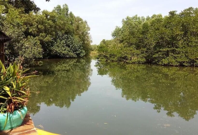 בית מלון כפרי Mangroves & More