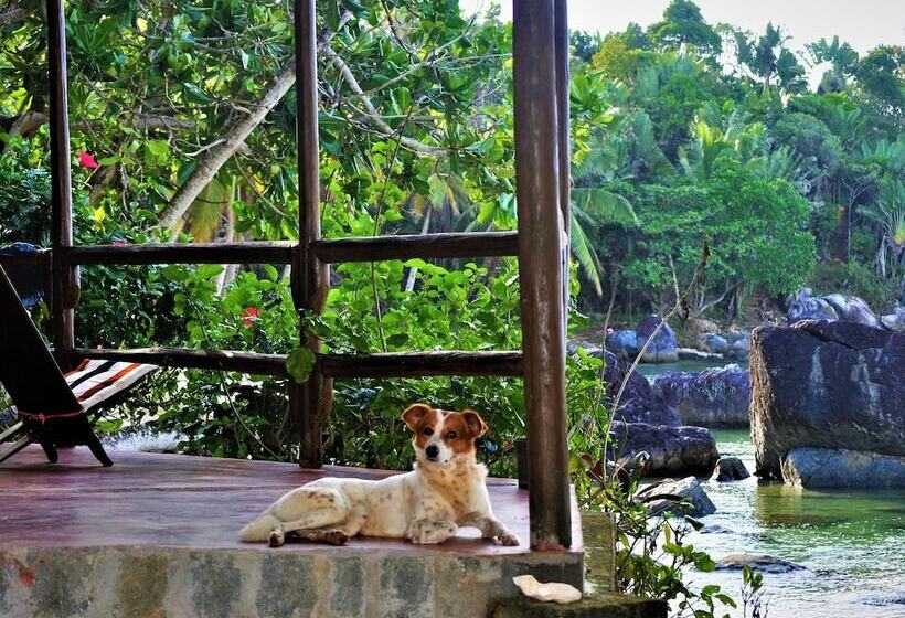 هتل Natiora Green Lodge