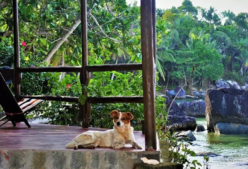 هتل Natiora Green Lodge