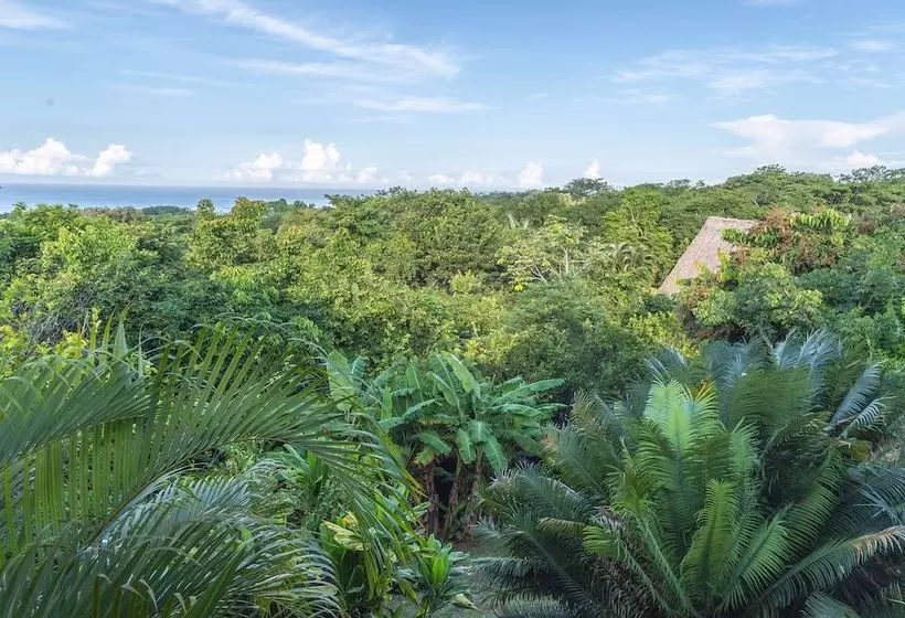 استراحتگاه Kaya Bloom Ecolodge & Glamping