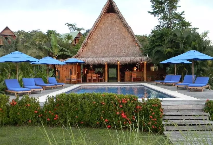 استراحتگاه Kaya Bloom Ecolodge & Glamping