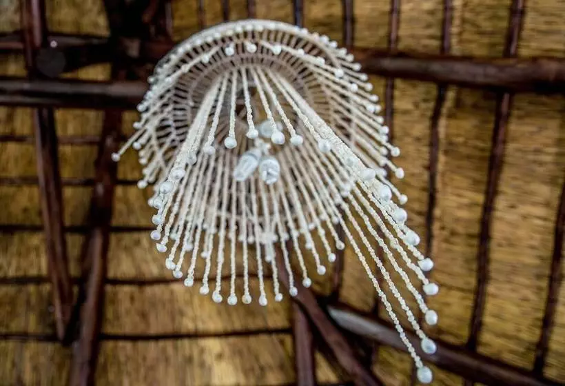 Tshiberry Bed & Breakfast