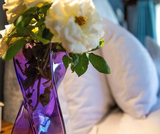 Tshiberry Bed & Breakfast