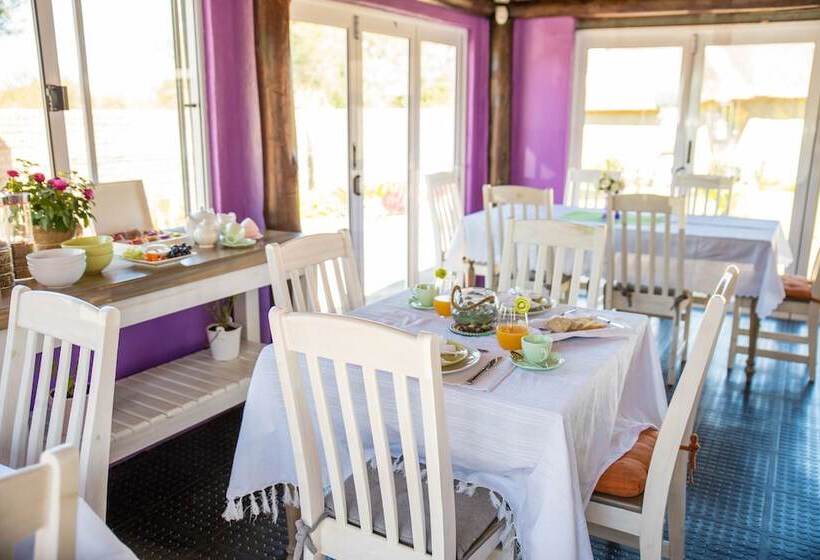 Tshiberry Bed & Breakfast