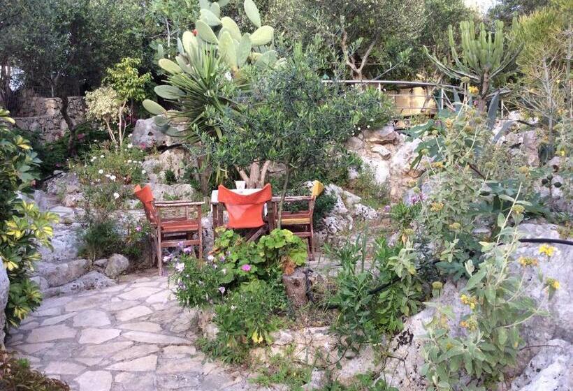 هتل Bicorna Chania