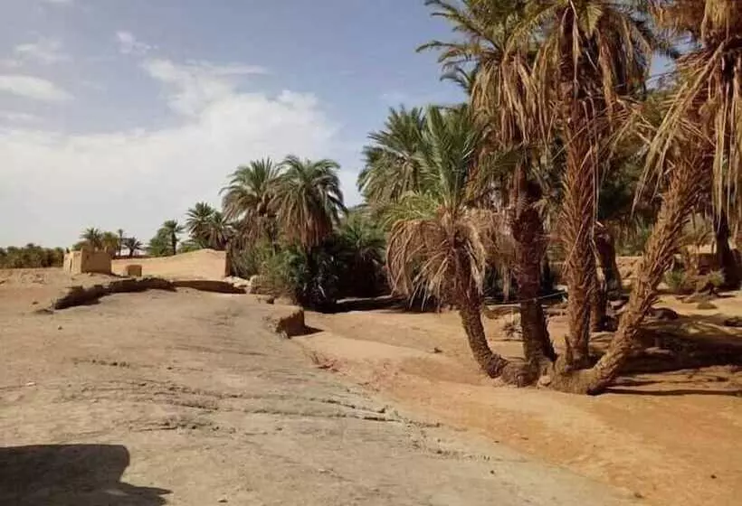 هتل Sahara Peace Camp