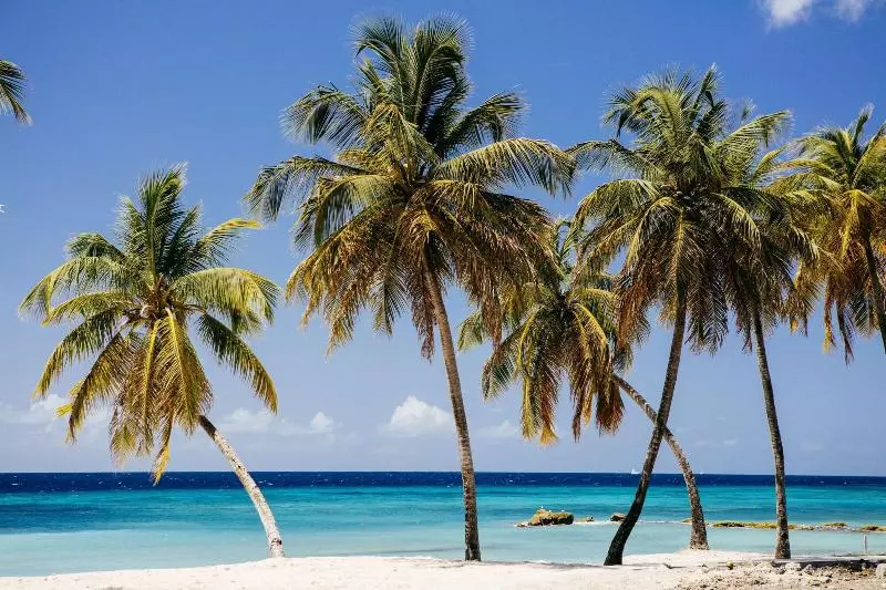 Hotelli The Liming Bequia