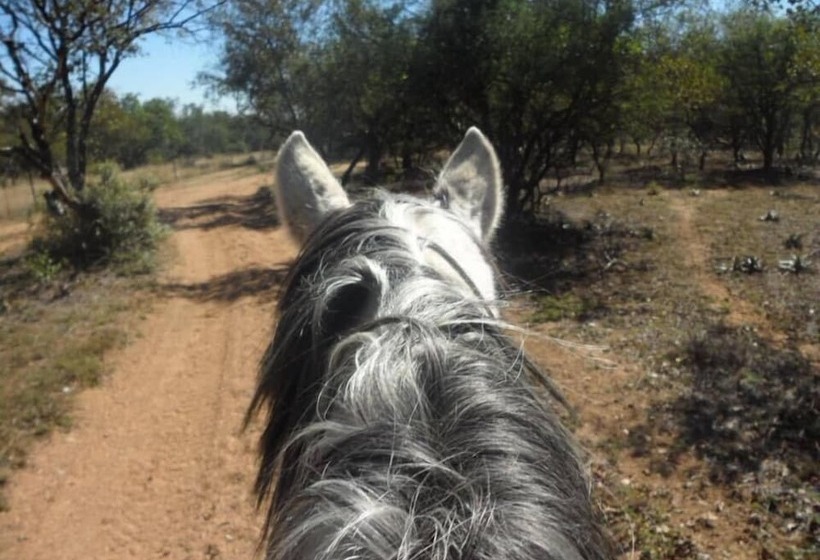 酒店 Unathi Game Lodge