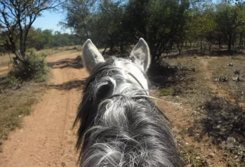 Hotelli Unathi Game Lodge