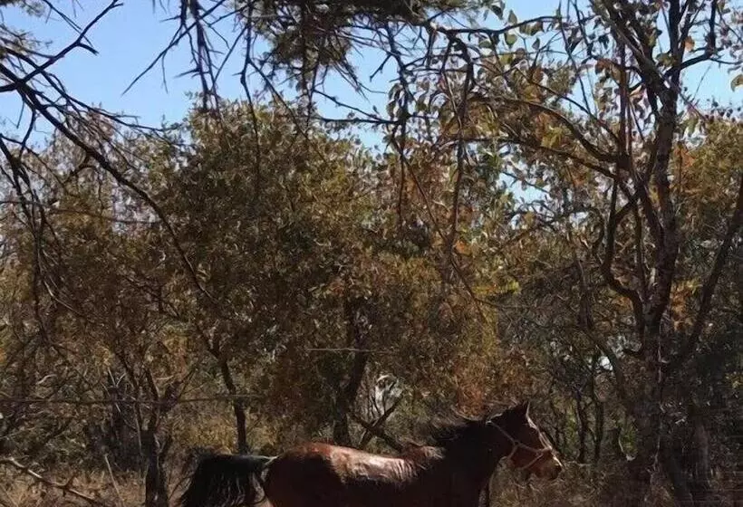 Hotelli Unathi Game Lodge