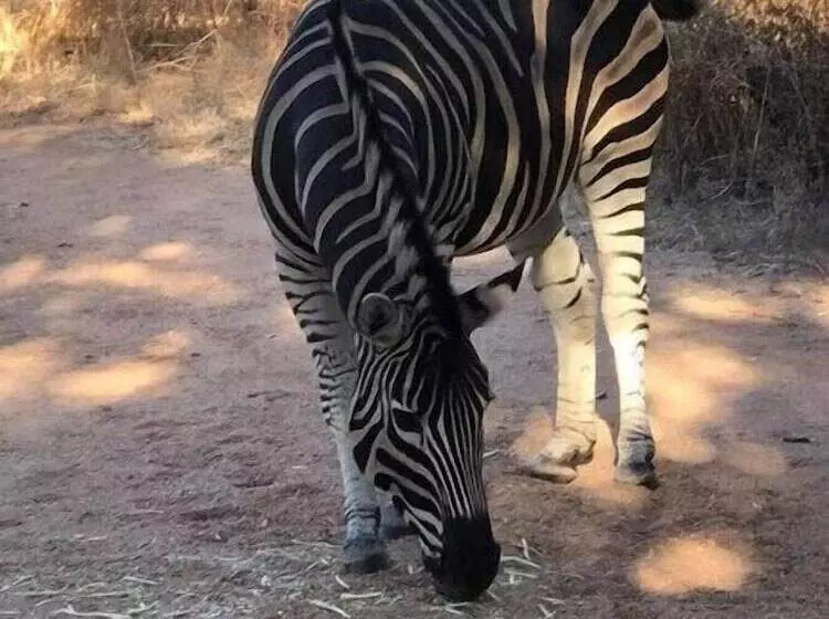 Hotelli Unathi Game Lodge