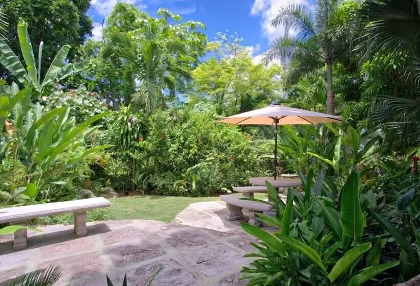 Scotch On The Rocks Ocho Rios 5br