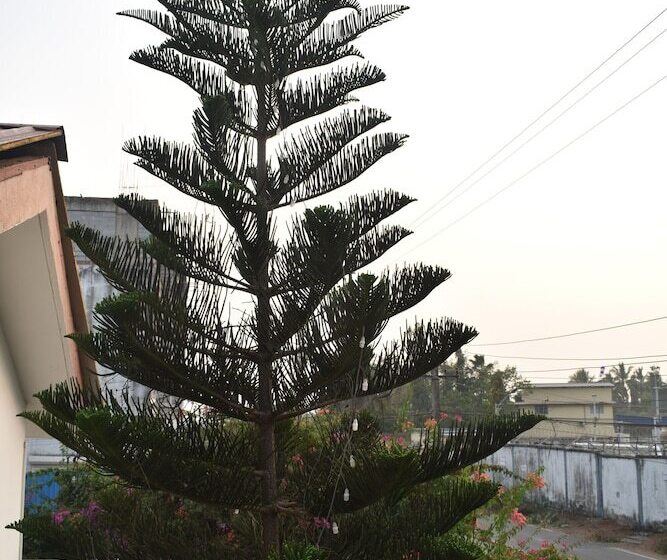 Pension Athi Resorts