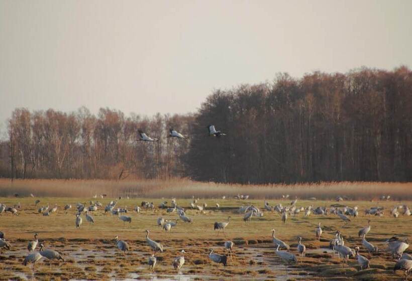Kuskahusen Vandrarhem