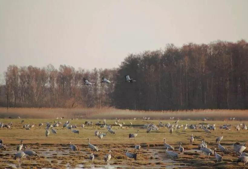 Kuskahusen Vandrarhem