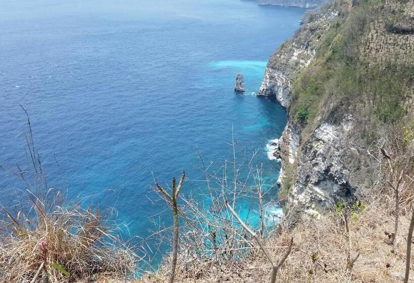 Bed and Breakfast Palm Bamboo