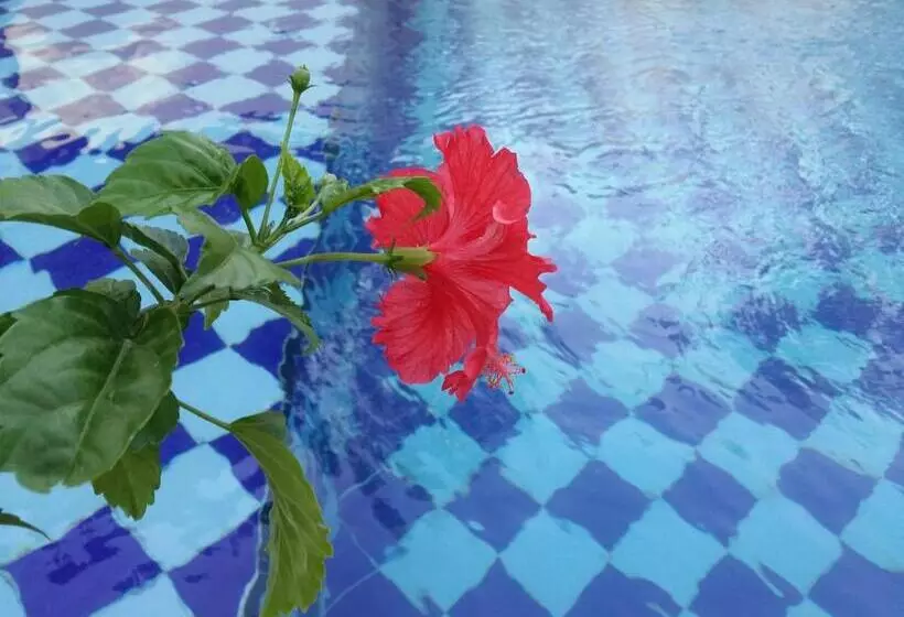 Aamiaismajoitus (B&B) Palm Bamboo