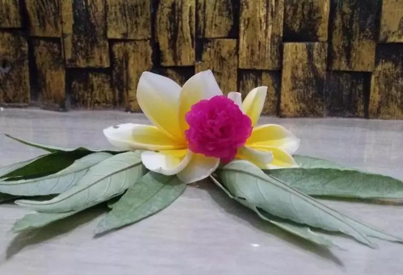 Aamiaismajoitus (B&B) Palm Bamboo