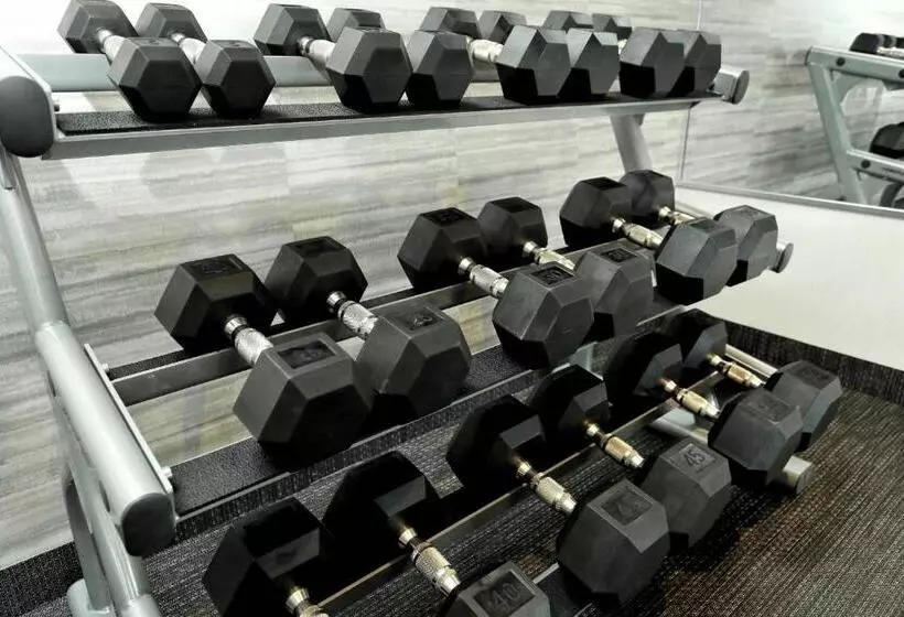 ホテル Courtyard By Marriott North Brunswick