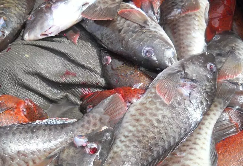 ペンション B&b Le Gourmet