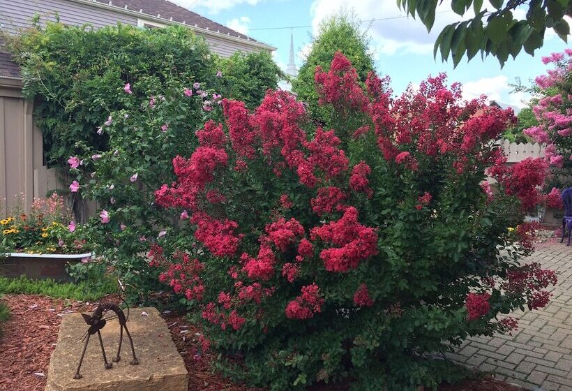 ベッドアンドブレックファースト Weller Haus Bed, Breakfast & Event Center