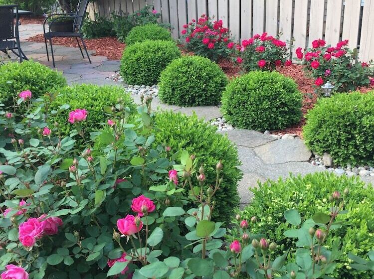 ベッドアンドブレックファースト Weller Haus Bed, Breakfast & Event Center