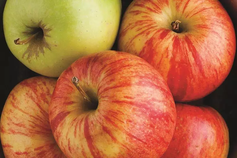 Hotelli La Quinta By Wyndham Mobile