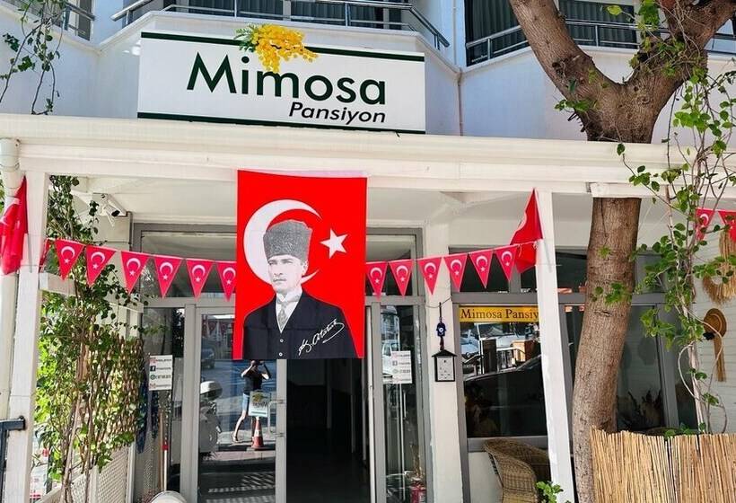 Mimosa Pension