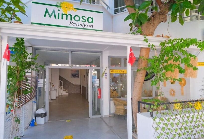 Mimosa Pension